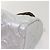 LOUIS VUITTON Linylon Speedy Bandouliere 25 Bag 2way Silver M20973 - vista 15