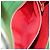 Céline CELINE Shoulder Bag Leather Green Gold - vista 24
