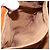 Céline CELINE Macadam Canvas Shoulder Bag PVC Leather Brown Gold - vista 21