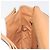 Céline CELINE Macadam Canvas Shoulder Bag PVC Leather Brown Gold - vista 19