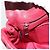 Miu Miu Matelasse Chain Shoulder Bag Leather Red Silver - vista 24