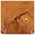 PRADA Shoulder Bag Leather 2way Brown Gold - vista 15