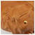PRADA Shoulder Bag Leather 2way Brown Gold - vista 17