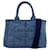 Prada 1BG439 Canapa Mini Borsa a mano 2-Way Blu