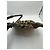 Gucci Borsa a tracolla GG Canvas Abbey D-Ring Marrone Monogramma - vista 10