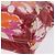 CHANEL High Summer Pouch Beschichtetes Canvas Rot CC Auth 196901 - Ansicht 16