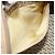 SAINT LAURENT Mini Boston Bag PVC Canvas Gray Gold Auth am12267A Marrone D'oro - vista 21