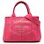Borsa Tote Satchel Prada Small Canvas Canapa Logo Rosa