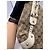 Borsa a tracolla Gucci Pelham in tela monogramma GG Marrone Beige - vista 10
