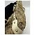 Borsa a tracolla Gucci Pelham in tela monogramma GG Marrone Beige - vista 9