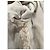 Veste courte en cuir ivoire Roberto Cavalli IT 40 d'occasion - vue 8