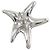 Orecchini a lobo Starfish Tiffany & Co. - vista 7