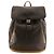 Zaino Louis Vuitton Damier Geant Pionie