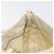 Borsa a tracolla PRADA Nylon Ivory Gold Auth 197466A D'oro Crudo - vista 20