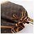 Borsa a tracolla LOUIS VUITTON Monogram Petit Noe M42226 LV Auth 197539 Monogramma - vista 6