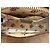 Gucci Neo Vintage Camera Messenger GG Coated Canvas Beige - vista 7