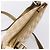 Borsa a tracolla GUCCI GG Canvas Sherry Line Beige Tono Oro 144388 Auth 198655 - vista 6