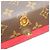 Borsa a tracolla Louis Vuitton Monogram Recital Marrone - vista 9