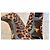 Prada Décolleté in pelo di vitello con stampa leopardata Marrone Stampa leopardo - vista 7