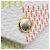 Cartera Victorine Louis Vuitton DAMIERLICIOUS Rosa Beige Amarillo - vista 9