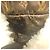 Zaino Louis Vuitton Monogram Shearling LV SKI Crudo - vista 11