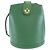 Borsa a tracolla Louis Vuitton Epi Cluny M52254 Verde