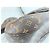 Louis Vuitton x NIGO Duck Bag Shoulder Marrone - vista 6