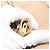 Borsa Tote PRADA Vittero Dino Leather Beige Gold Auth 194855A D'oro - vista 20