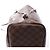 Borsa a tracolla Louis Vuitton Neverfull MM Damier Ebene in marrone N51105 Rosso - vista 10