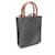 Céline Borsa Tote Cabas Triomphe Vertical Small Celine Marrone Nero - vista 2