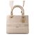 Borsa Christian Dior Lady D-Lite