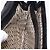 Borsa a tracolla SAINT LAURENT in pelle nera Auth 197730 Nero - vista 19
