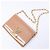 Clutch con catena Louis Vuitton Louise Rose Velours Monogram Vernis in Beige - vista 13
