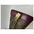 Louis Vuitton Alma Limited Edition Totem Monogram Canvas with Leather PM Multicolore - vista 6