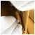 Céline Celine Brown Medium Triomphe Coated Canvas Folco Crossbody Marrone Marrone scuro - vista 5