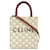 Céline Borsa Celine Triomphe Mini Vertical Cabas Marrone Bianco