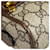 Borsa Mini Gucci Ophidia Marrone Beige - vista 12