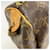 Borsa Louis Vuitton Monogram Speedy 30 Marrone - vista 10