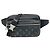 Bumbag Borsello da vita Louis Vuitton Taigarama Nero