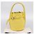 Céline CELINE Big Bag Bucket Nano Borsa a Mano Pelle 2way Giallo Argento Auth 199091M - vista 12