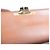 Céline Borsa a tracolla Celine Triomphe Claude in PVC e pelle, marrone - vista 9