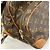 Borsa a tracolla Nile Monogram Louis Vuitton Marrone - vista 8