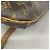 Louis Vuitton Monogram Musette Tango Schultertasche Braun - Ansicht 7