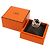Hermès Hermes Chaine d'Ancre Enchainee GM Ring Silber