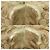 Gucci Guccissima Abbey Handtasche Beige Golden - Ansicht 5