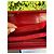 Chanel Camélia Cartera Cuero Charol Rojo Roja - vista 11