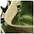 Borsa a tracolla PRADA Darling in pelle Verde Gold Auth 197336SAM D'oro - vista 11