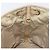 Bolso Tote Christian Dior Lady Dior Canage Canvas Beige Tono Dorado Auth 198943 - vista 21