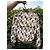 Giacca The North Face x Gucci Monogram Marrone Bianco Rosso Verde Giallo - vista 3