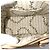 Borsa Louis Vuitton Women's Resort Alma BB Bianco Beige Monogramma - vista 4